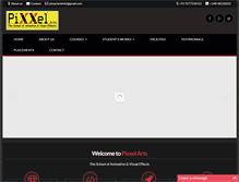 Tablet Screenshot of pixxelarts.com